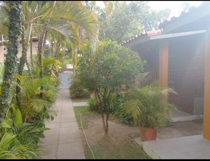 Prive Das Acacias Pôrto das Galinhas 外观 照片